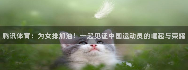 柠檬nba直播：腾讯体育：为女排加油！一起见证中国运动员的崛起与荣耀