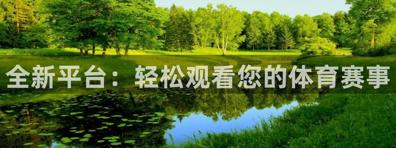柠檬视频直播：全新平台：轻松观看您的体育赛事
