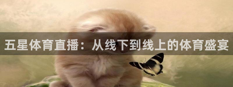 柠檬直播足球赛事：五星体育直播：从线下到线上的体育盛宴