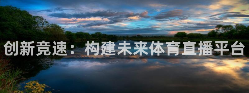 柠檬直播nba在线观看：创新竞速：构建未来体育直播平台