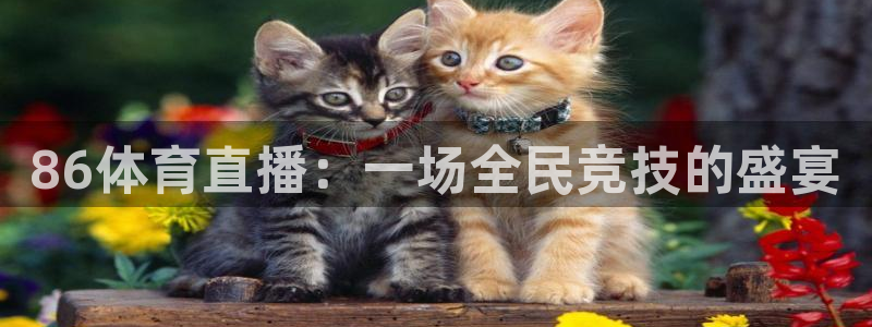 柠檬直播nba篮球：86体育直播：一场全民竞技的盛宴