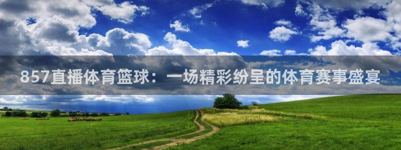 柠檬nba篮球直播：857直播体育篮球：一场精彩纷呈的体育赛事盛宴
