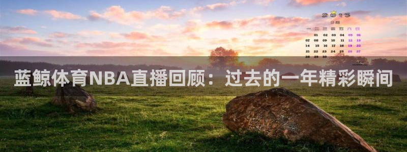 柠檬nba篮球直播：蓝鲸体育NBA直播回顾：过去的一年精彩瞬间