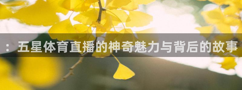 柠檬免费足球直播：：五星体育直播的神奇魅力与背后的故事