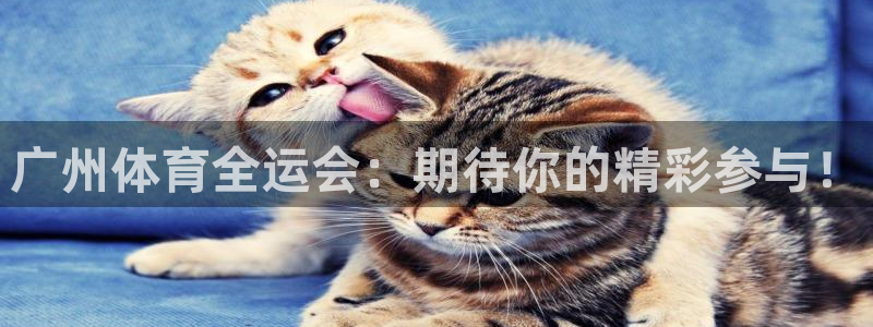 柠檬足球现场直播：广州体育全运会：期待你的精彩参与！