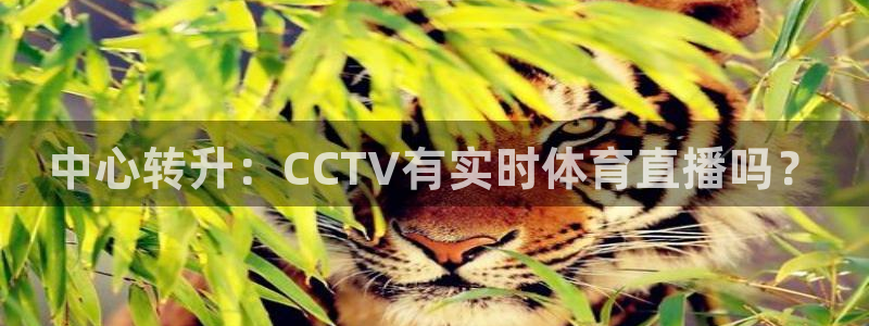 柠檬体育比赛直播：中心转升：CCTV有实时体育直播吗？